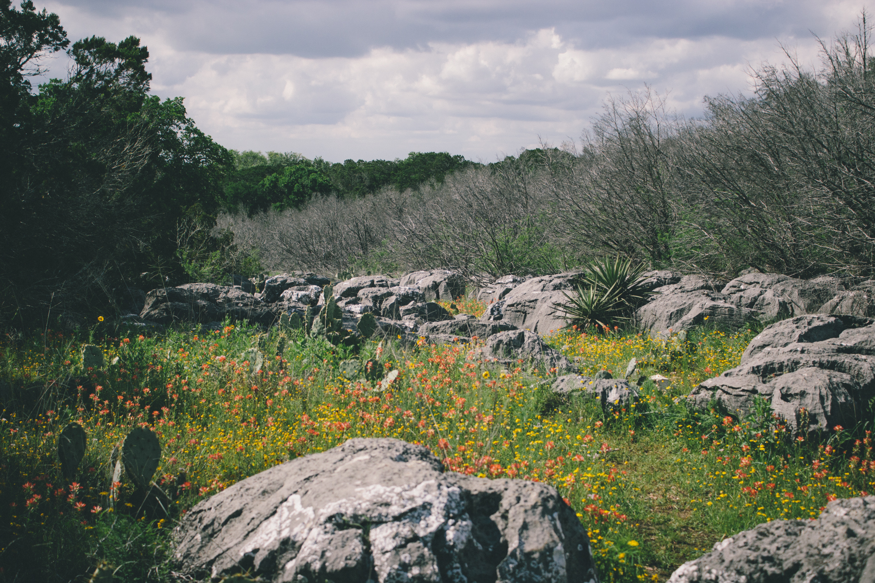 Longhorn Caverns