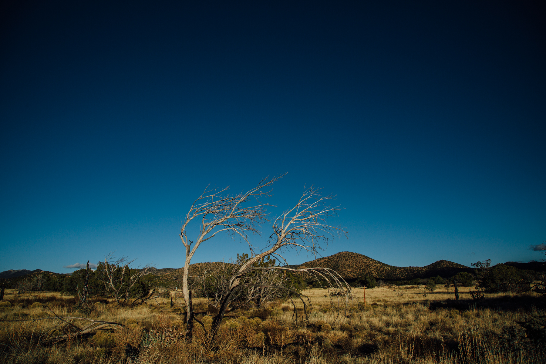  Santa Fe, NM // Honeymoon 