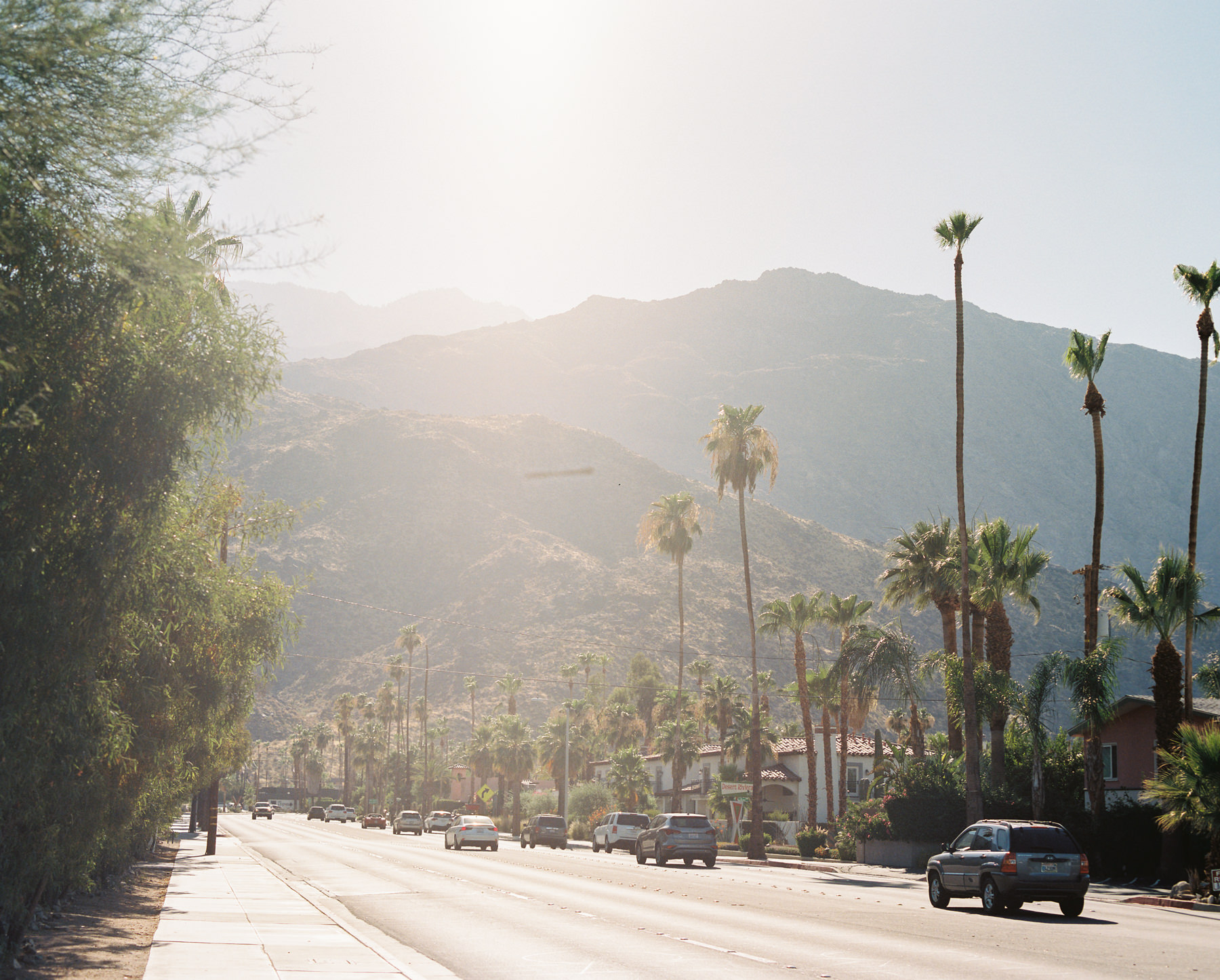 Palm Springs Joshua Tree Travel Film - Diana Ascarrunz Photography-60.jpg