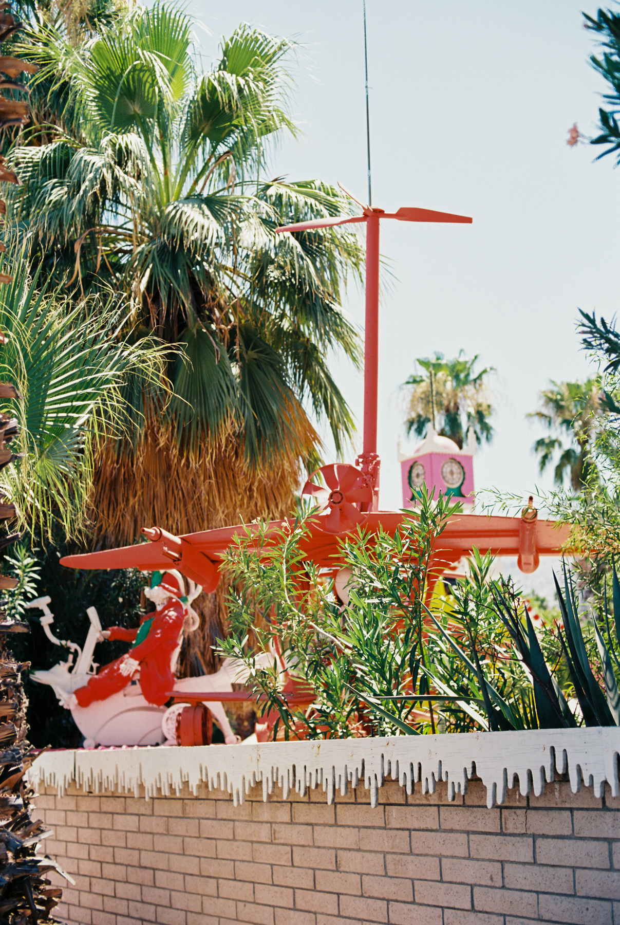 Palm Springs Joshua Tree Travel Film - Diana Ascarrunz Photography-53.jpg