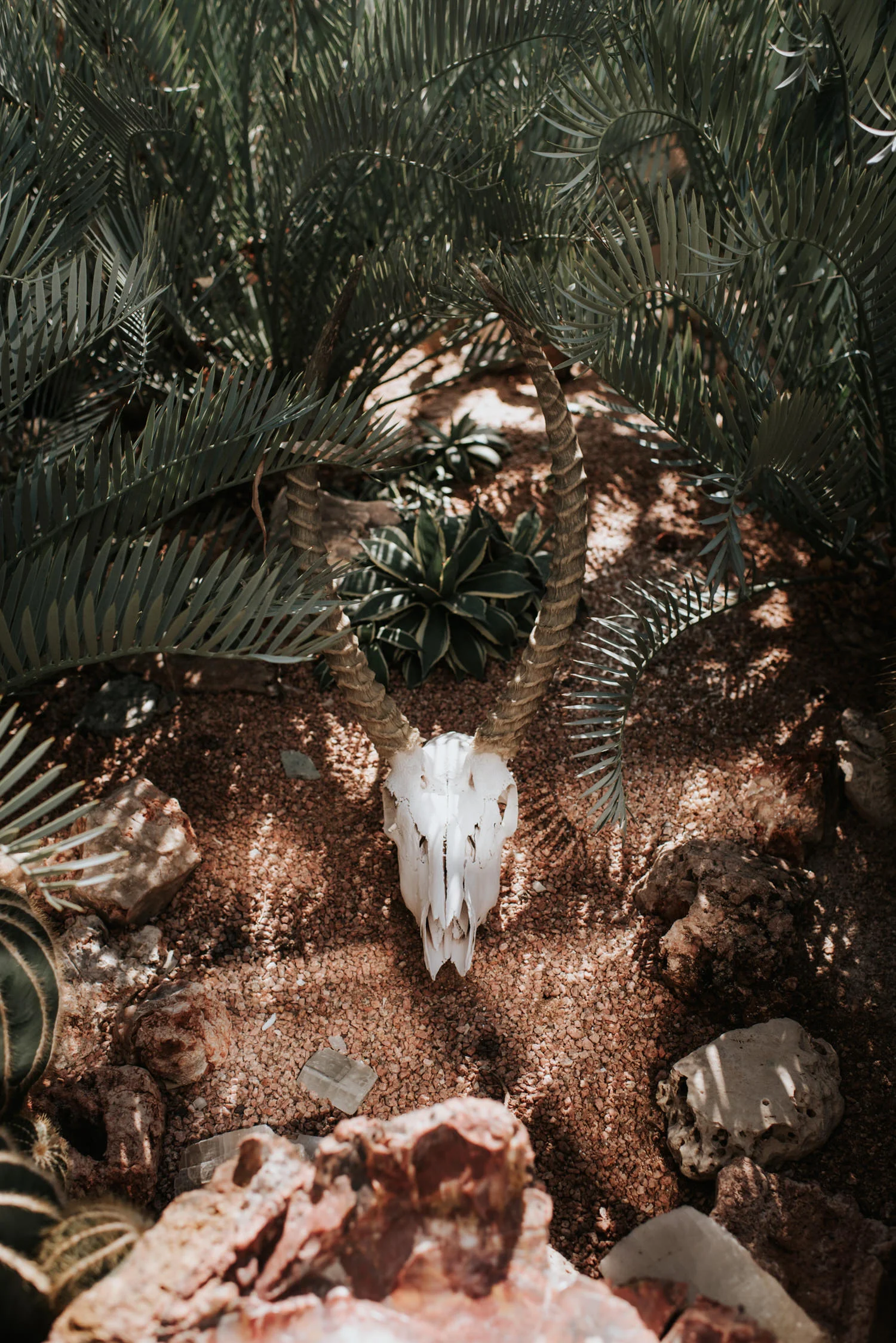 Austin wedding photographer - Greenhouse at Driftwood wedding - Small Austin wedding - Tiny Texas wedding - Austin wedding photography