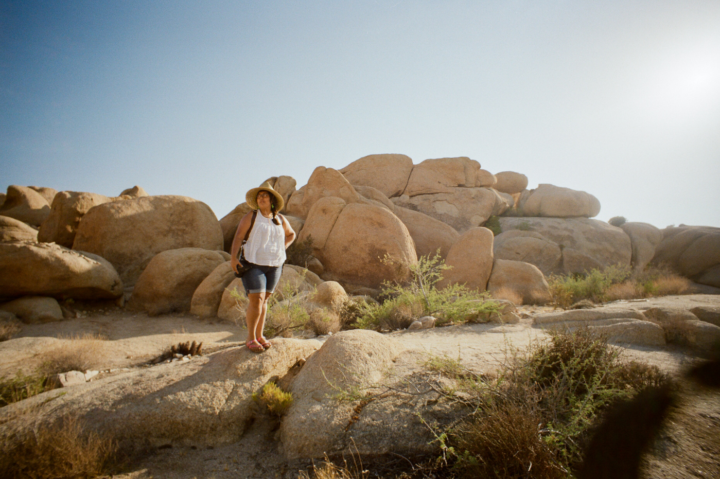 #FeministPhotoVacay/Joshua Tree