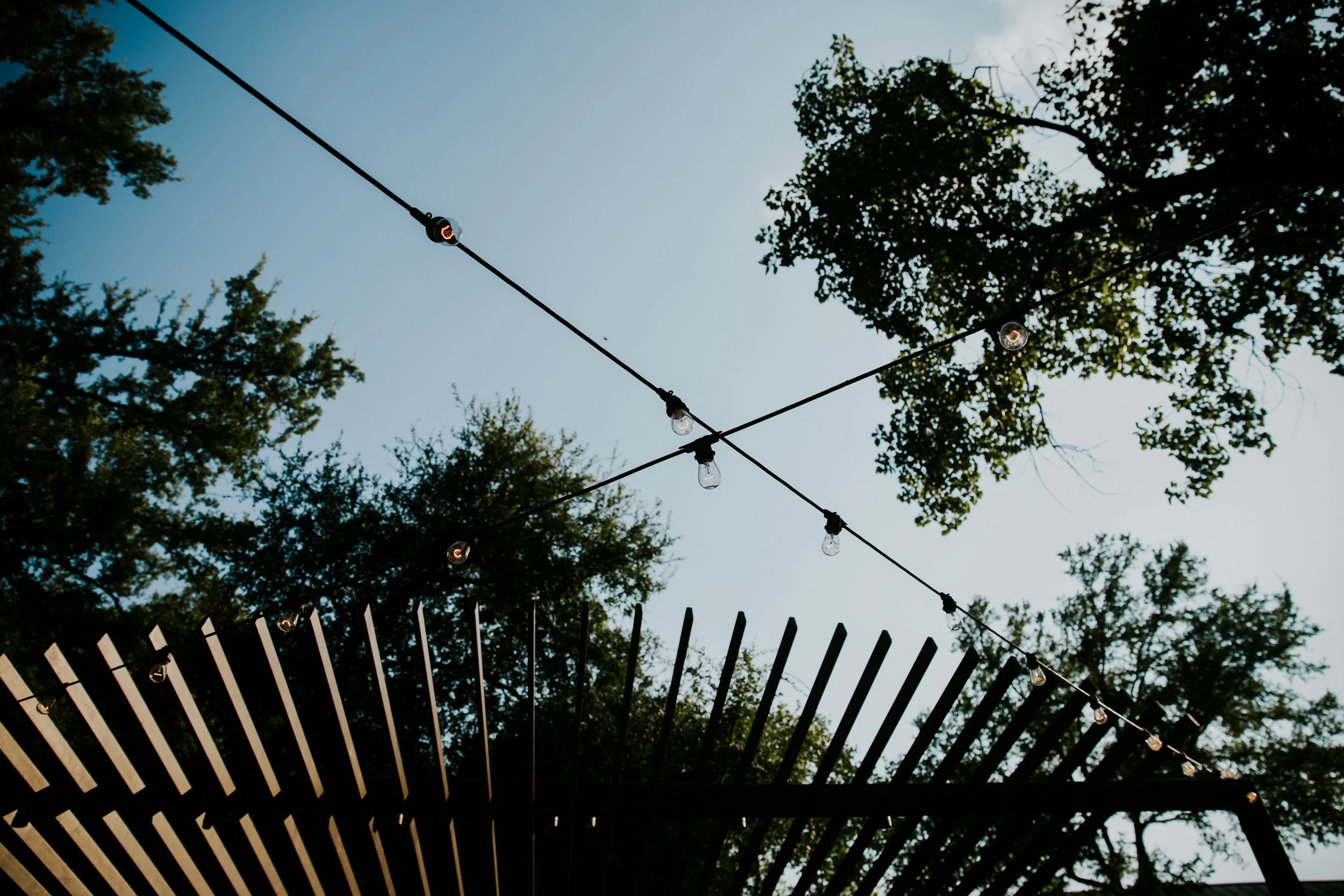 Umlauf Sculpture Garden.