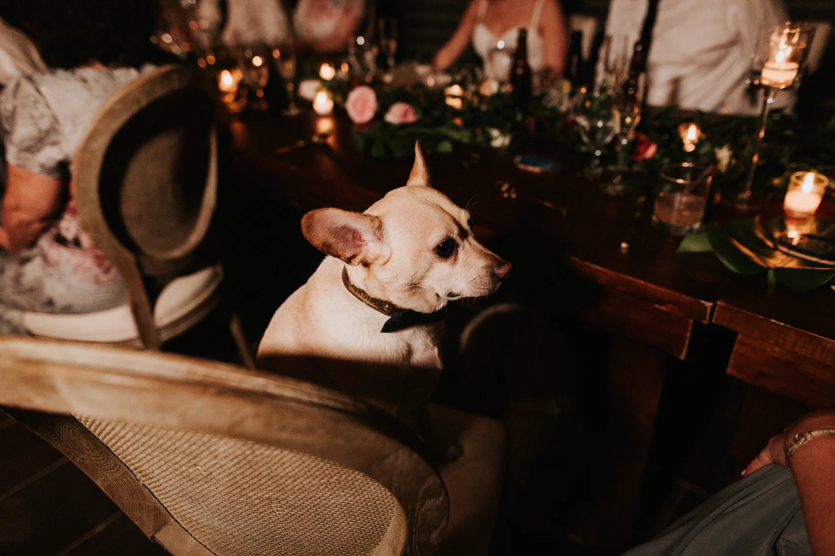 Austin luxury backyard wedding