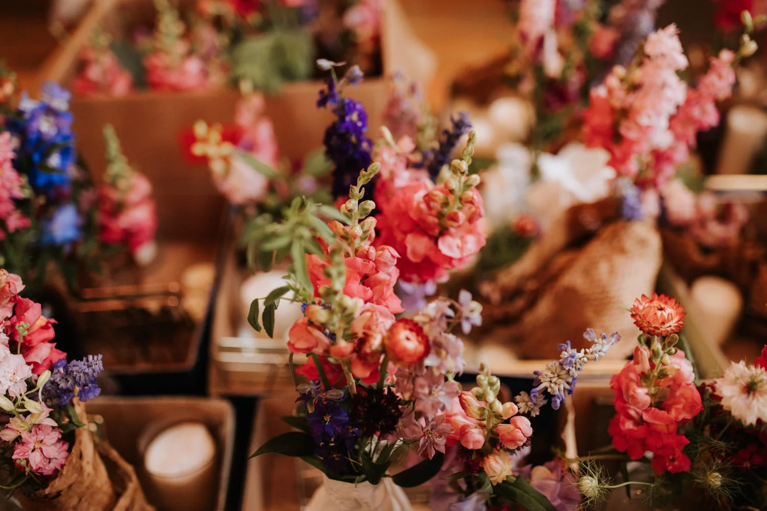 Austin Wildflower Center wedding