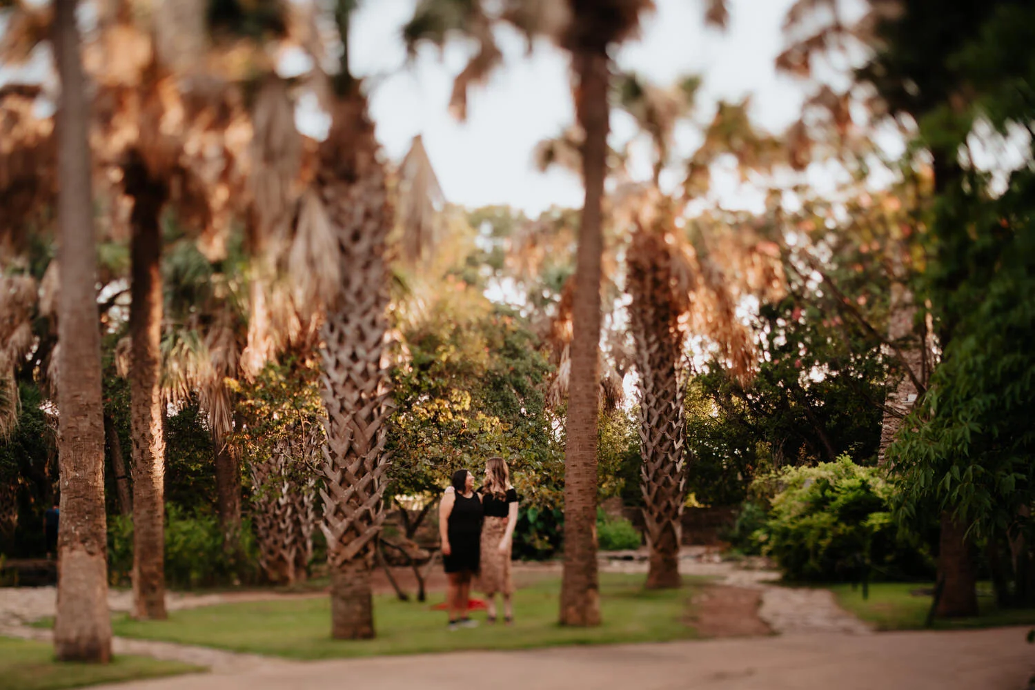 Austin Mayfield Park Engagement- Diana Ascarrunz Photography-121.jpg