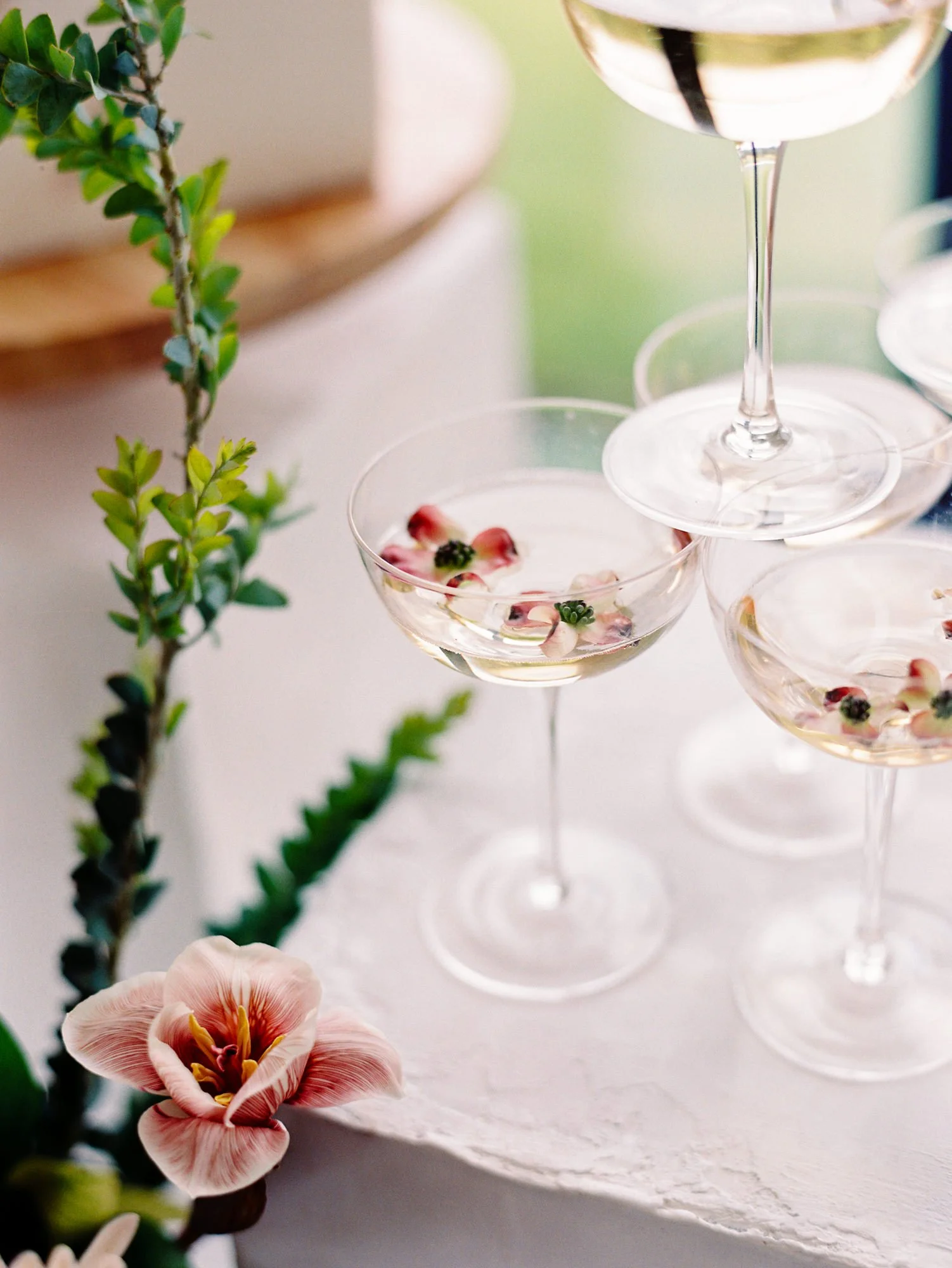 Austin Film Wedding Photographer - Diana Ascarrunz Photography-72.jpg