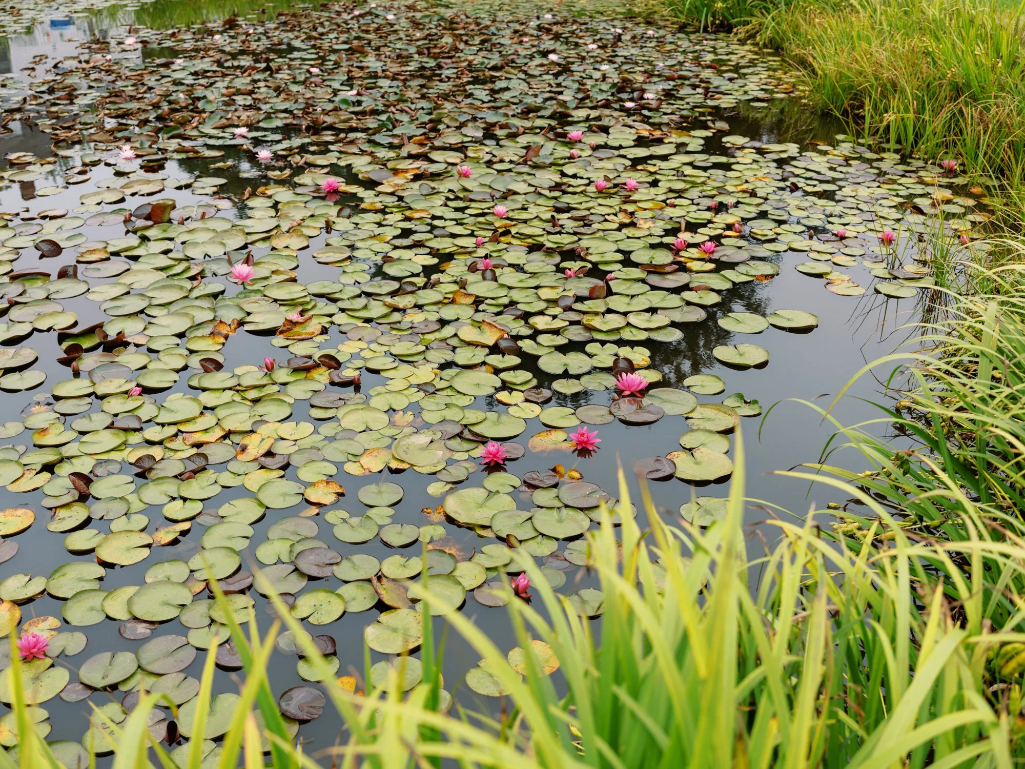 Maine Documentary Film Wedding Photography-20.jpg