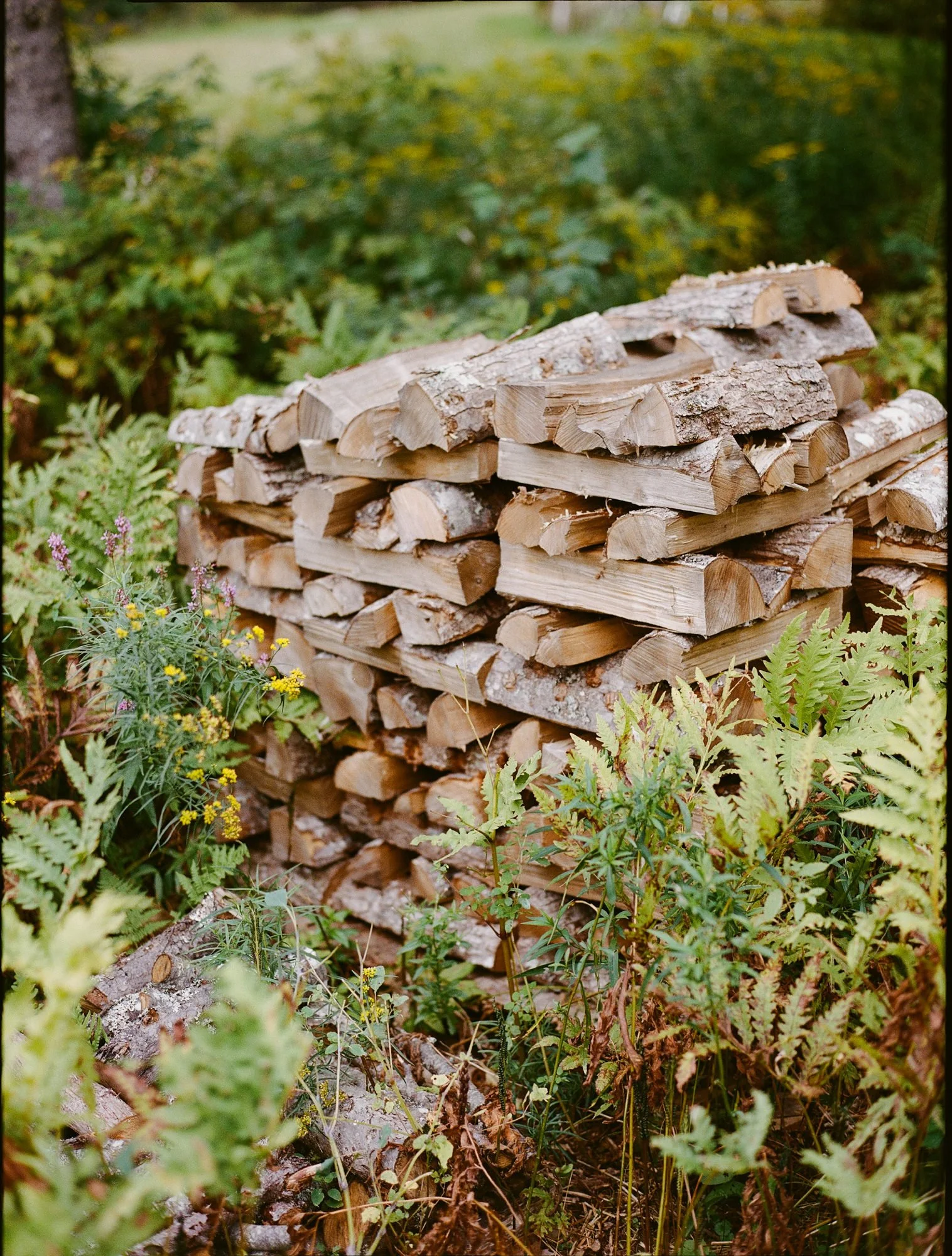 Maine Documentary Film Wedding Photography-155.jpg