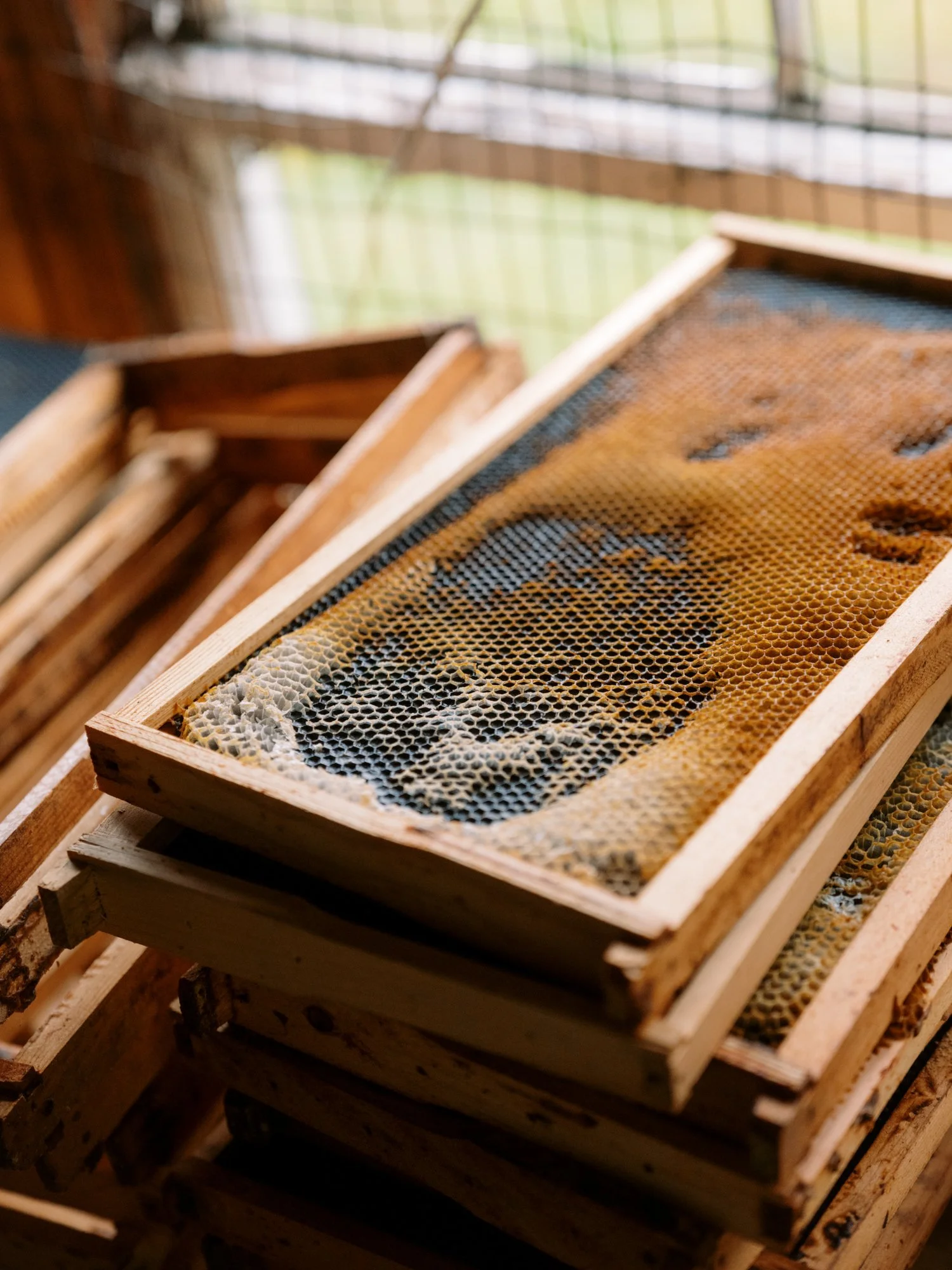 Maine Documentary Film Wedding Photography-29.jpg