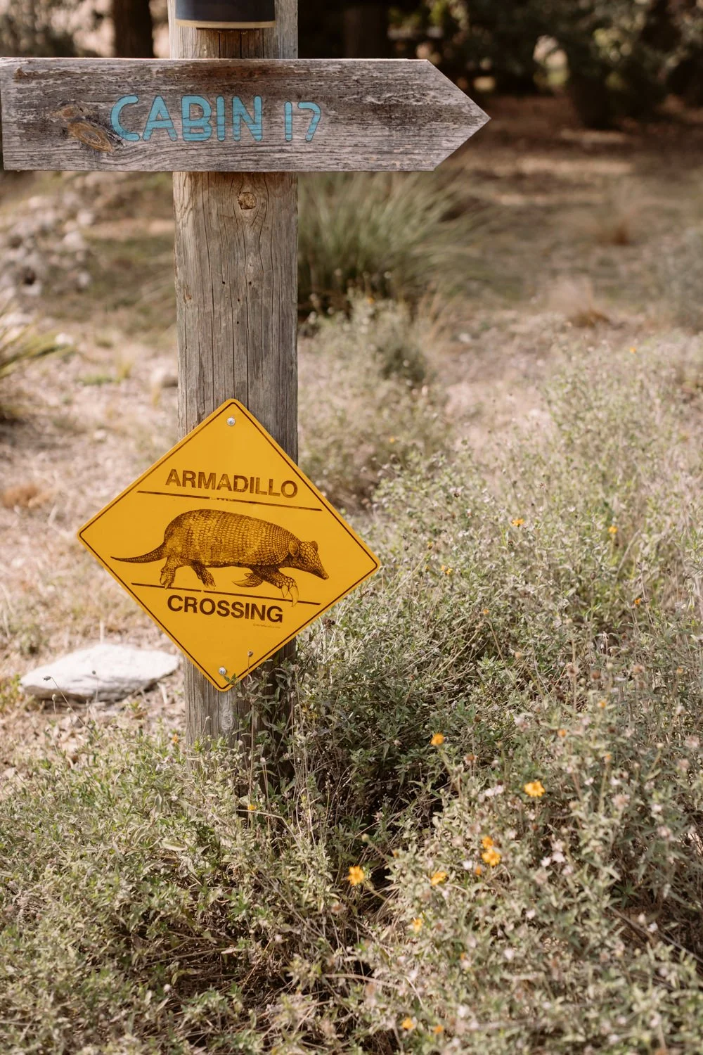 Western NYC meets Texas Colorful Cowboy Wedding Photography - 18.jpg