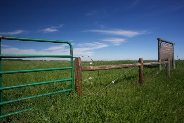 Chippewa Prairie Preserve - Milan, MN Canon 5D Mark iii + Canon 17-40mm f4.0L