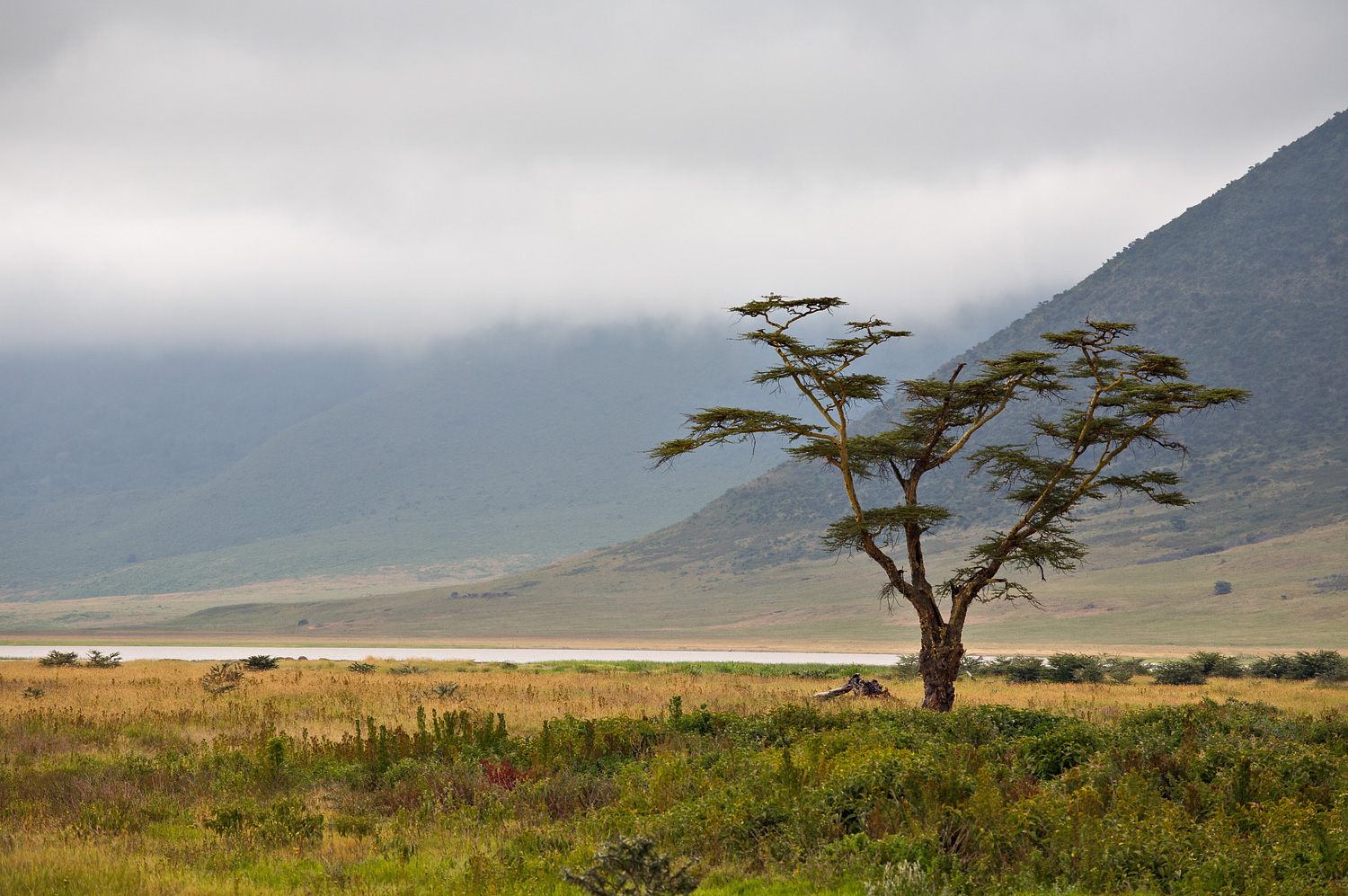 Ngorongoro0007.jpg