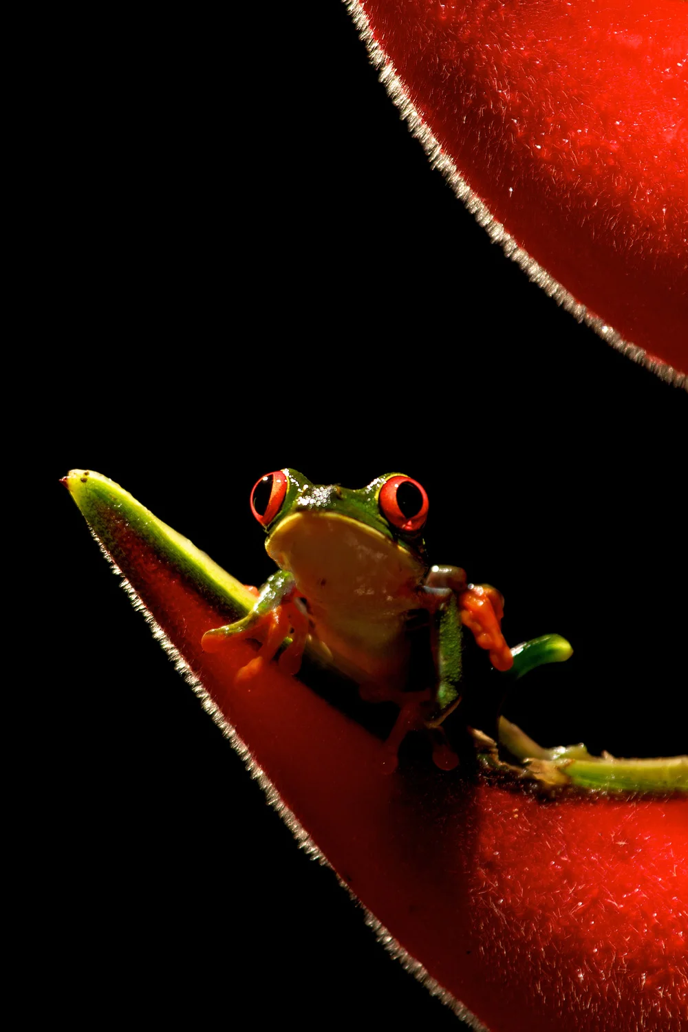 Costa Rica 2013 - Painting with Light