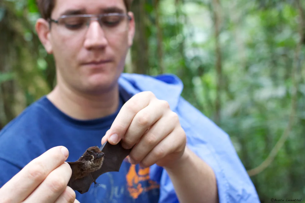 Michael Sevilla discussing the biology of tropical bats, Costa Rica