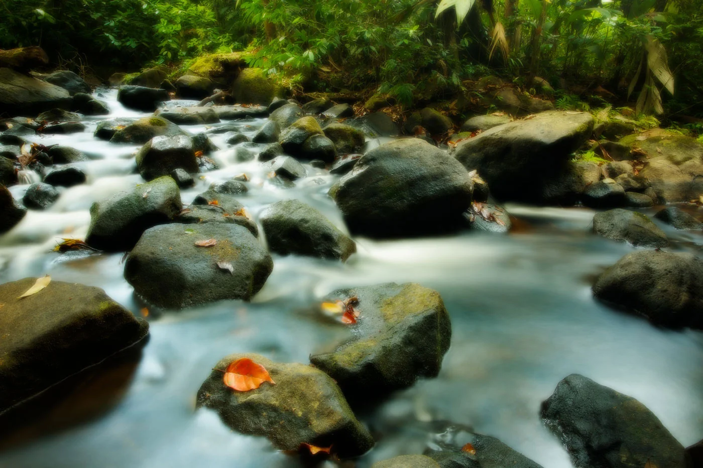 Dreams II - Costa Rica Canon 5D Mark III + Canon 17-40L + Induro CT313 Carbon Fiber Tripod and BHL3 Pro Ball Head