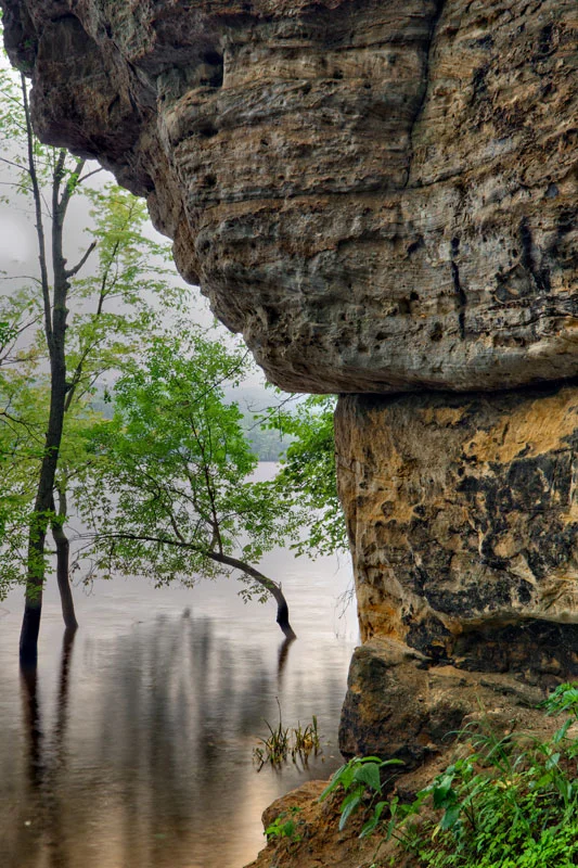 Scars from the River - St. Croix River, MN Canon 6D + Canon 17-40 f4.0L