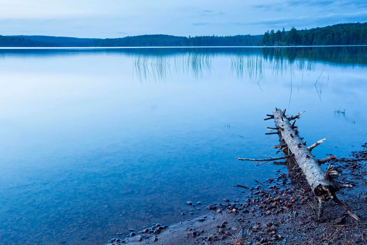 Quiet Moments before the Dogs Jumped in - Algonquin Provincial Park, Canada Canon 6D + Canon 17-40mm L