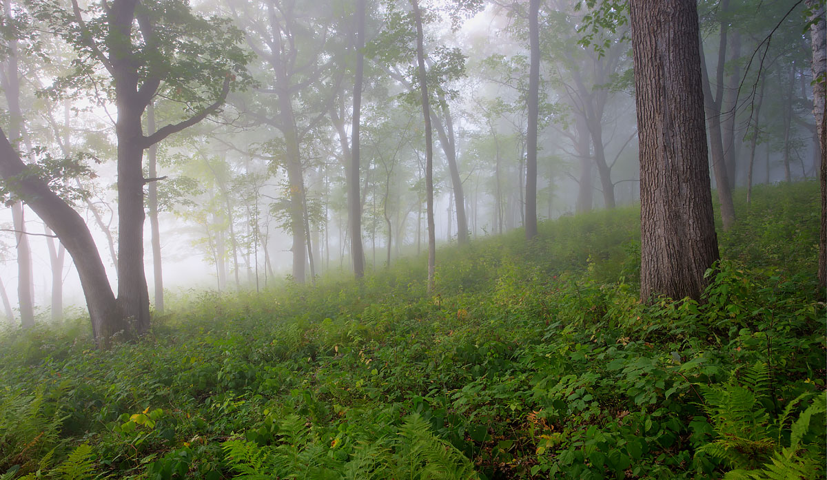 The Day Before Autumn - St. Croix Valley, MN Canon 6D + Canon 17-40mm f4.0L 