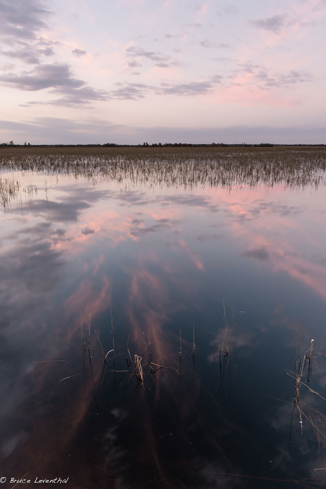 Sunset Roost - Crex Meadows Wildlife Management Area, October 2014 Nikon D800E + Nikon 28mm f1.8G AFS