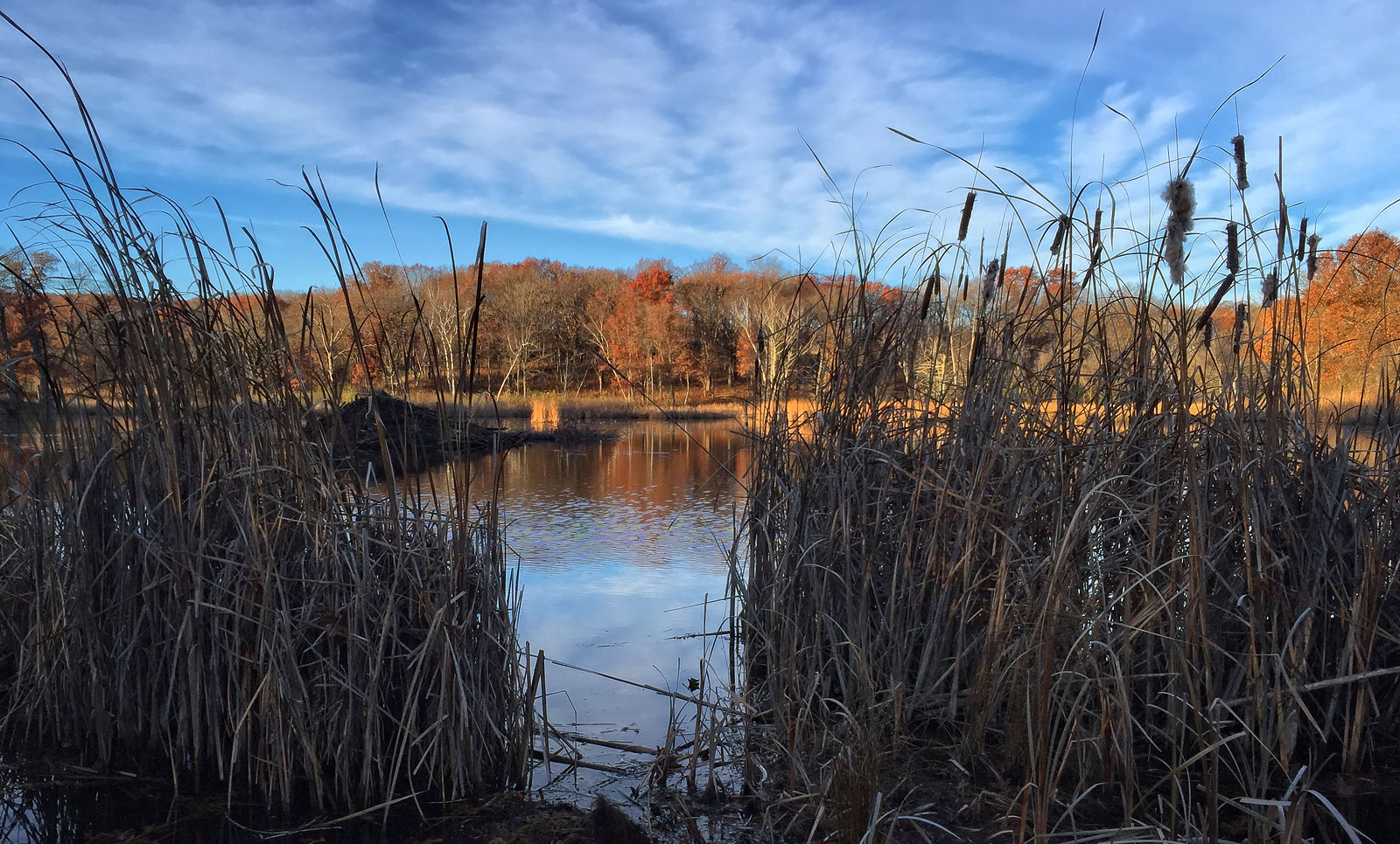 View of Beaver Lodge 11-1-2015 iPhone 6