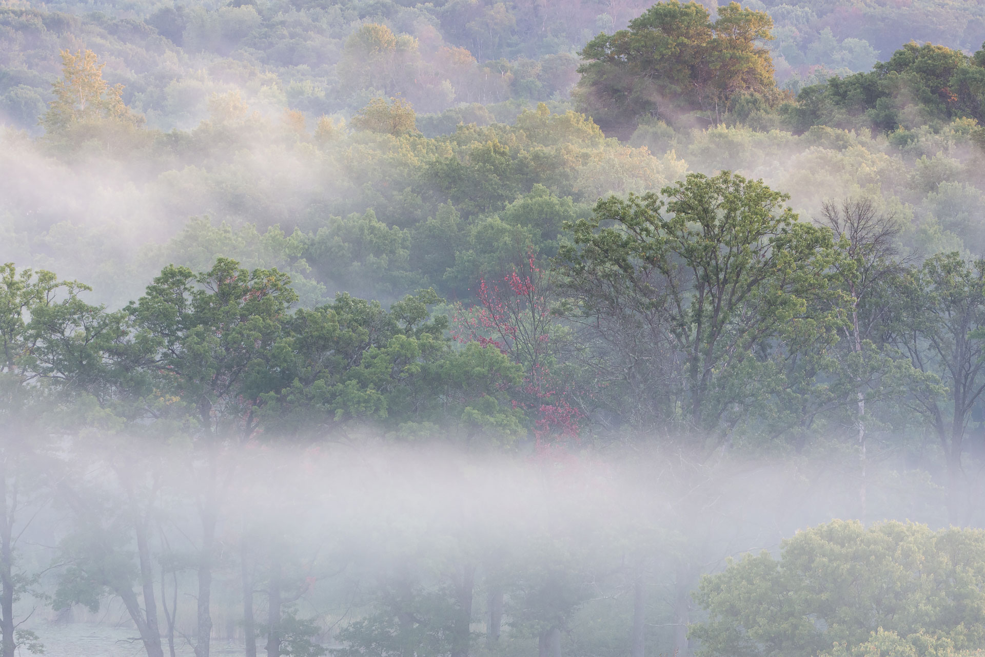 Honorable Mention #4: Falling Mist, MN