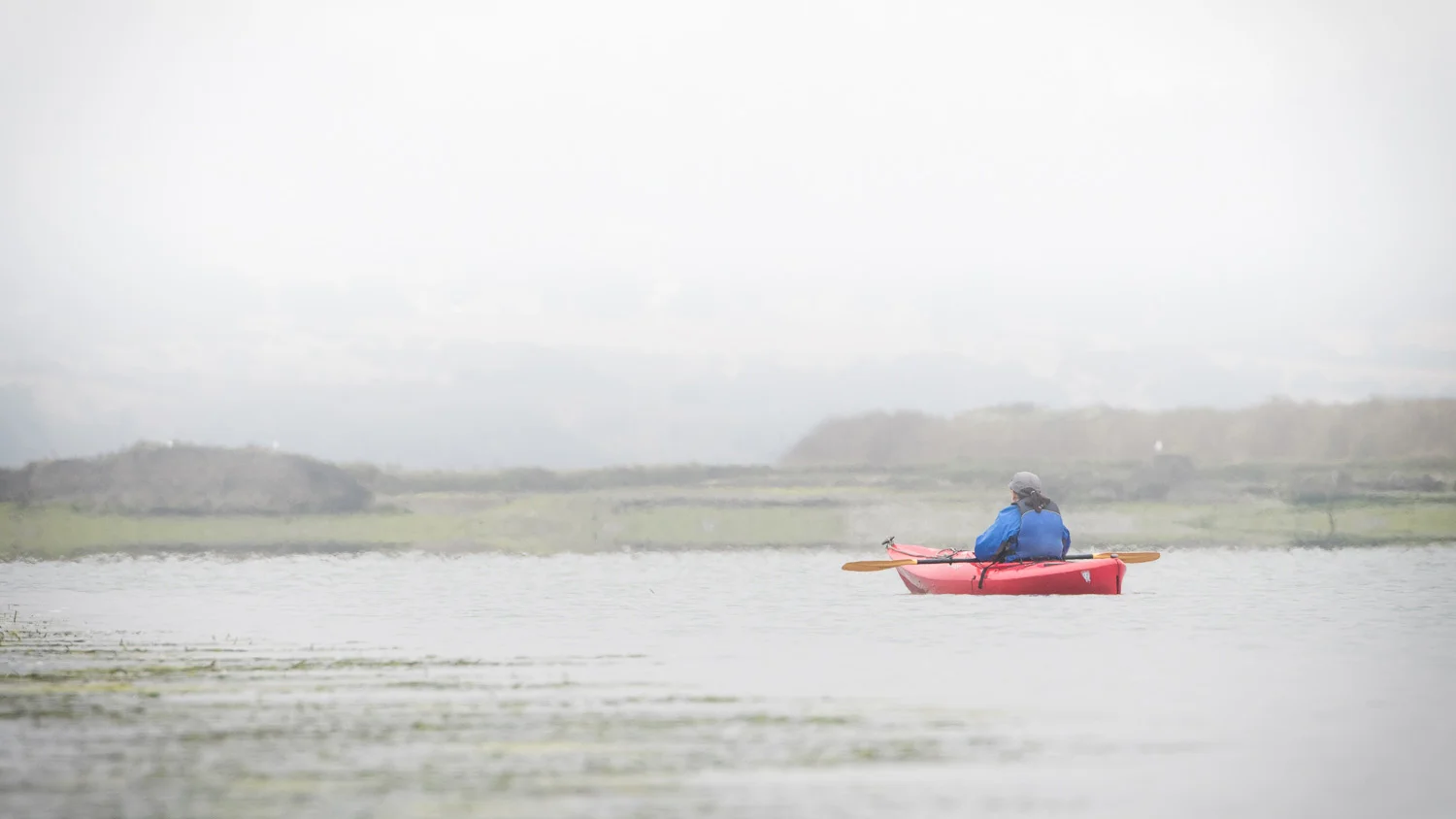 Kayaking the Slough Nikon D500 + Nikon 200-500mm f/5.6VR