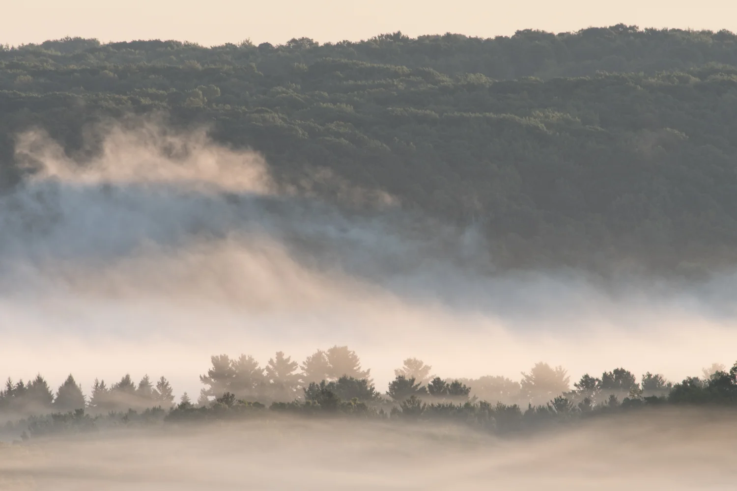 Sunrise on the St. Croix, MN Nikon D500 + Nikon 200-500mm f/5.6G VR
