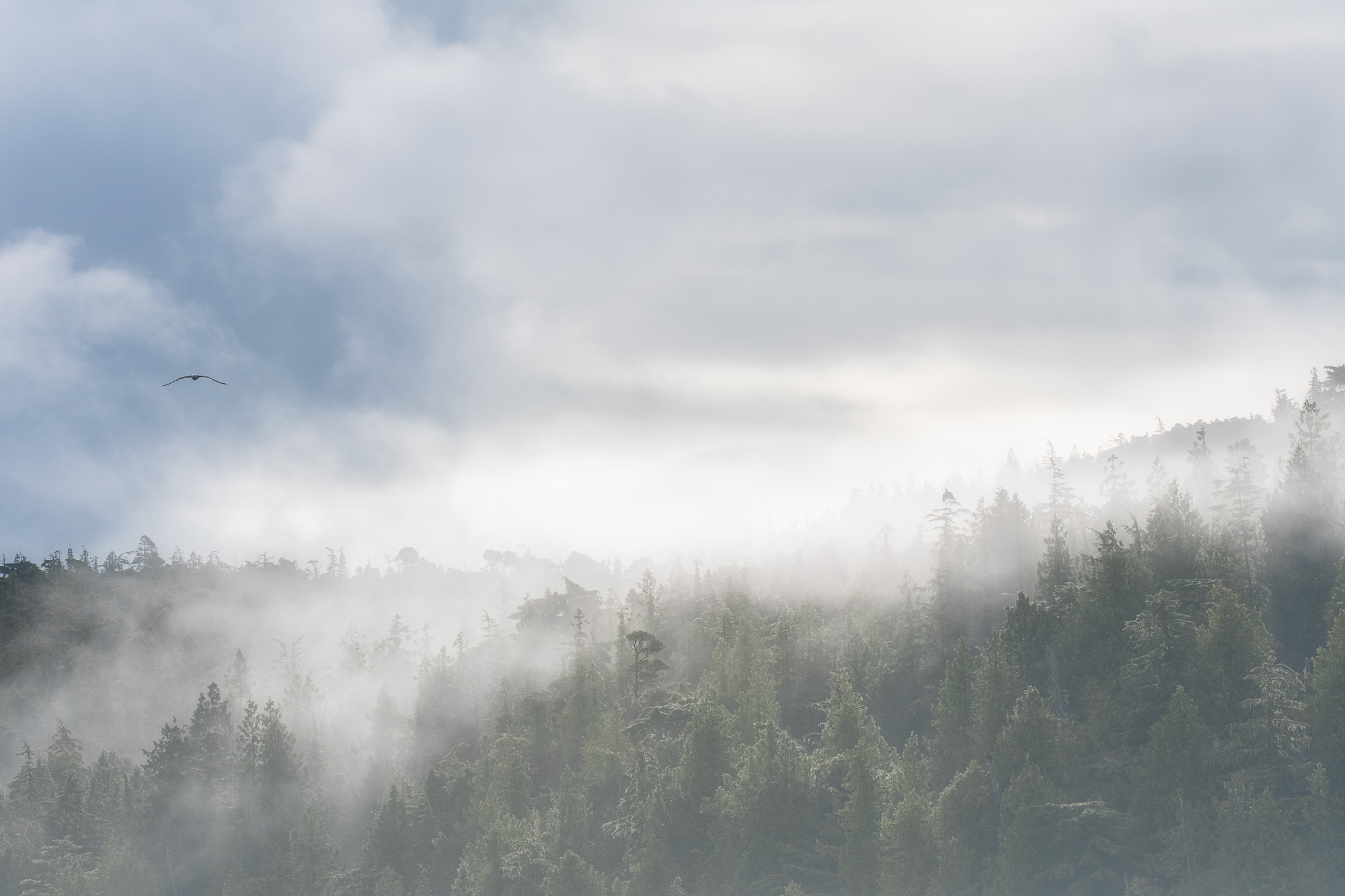 LandscapeFog81617-1906-Edit.jpg