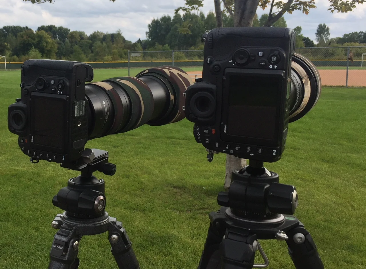D500 + 200-500VR on the left, D500 + 500mm PF on the right,… owl mount is just visible in the right corner (image taken with an iPhone 6)