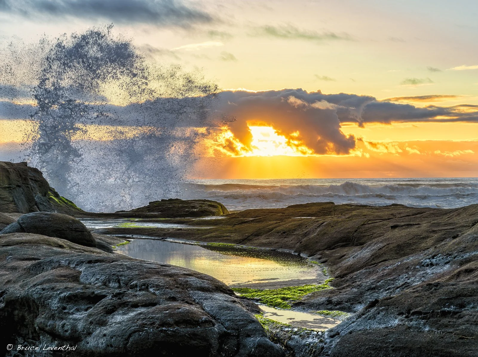 Yachats Beach : Oregon Coast