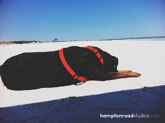 iphone sam enjoying the beach
