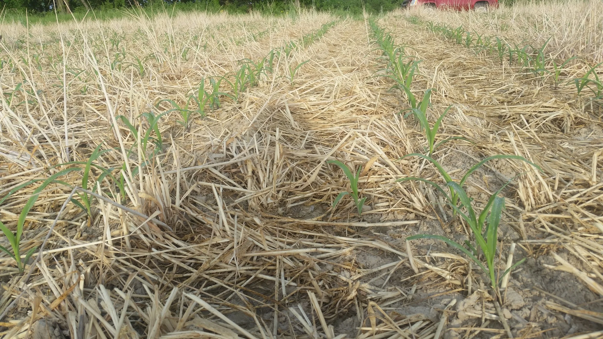 Grants — Sullivan County Soil & Water Conservation District