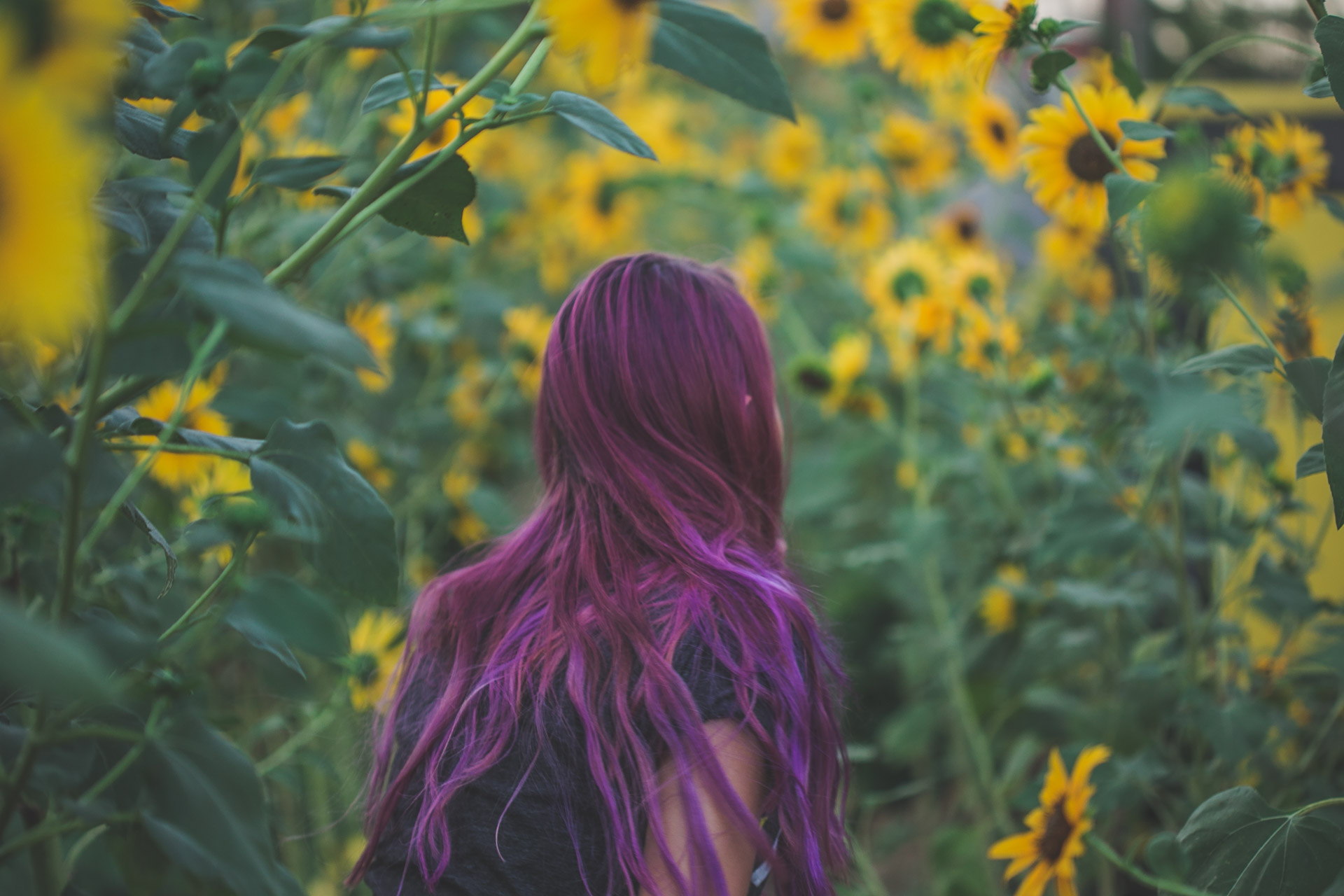 purple hair - star wars - sunflowers - tattoos