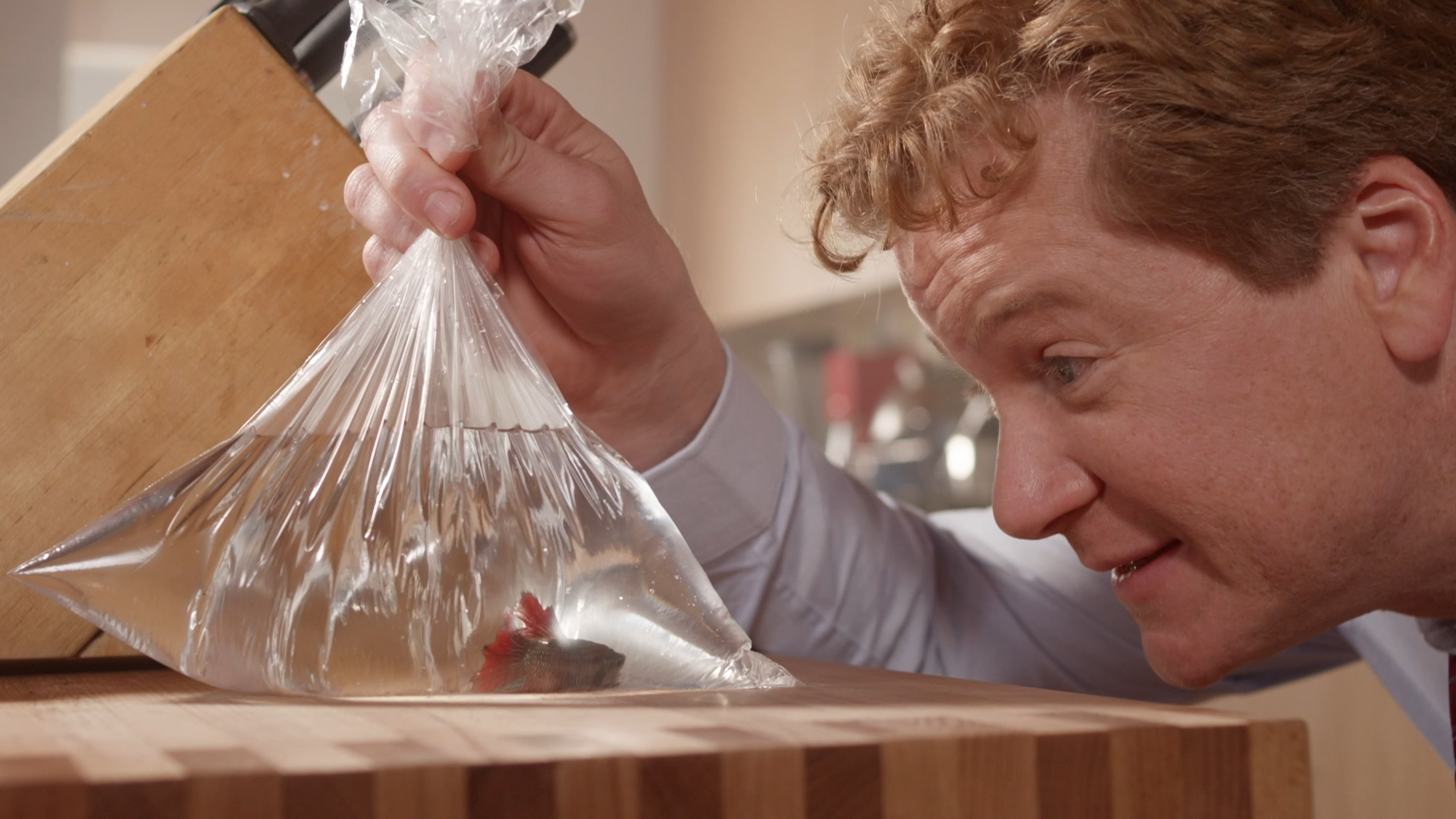A person with curly red hair looks closely at a fish inside a clear plastic bag filled with water, on a wooden surface.