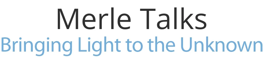 Bringing light to the unknown, workshops presented by Merle Yost, LMFT