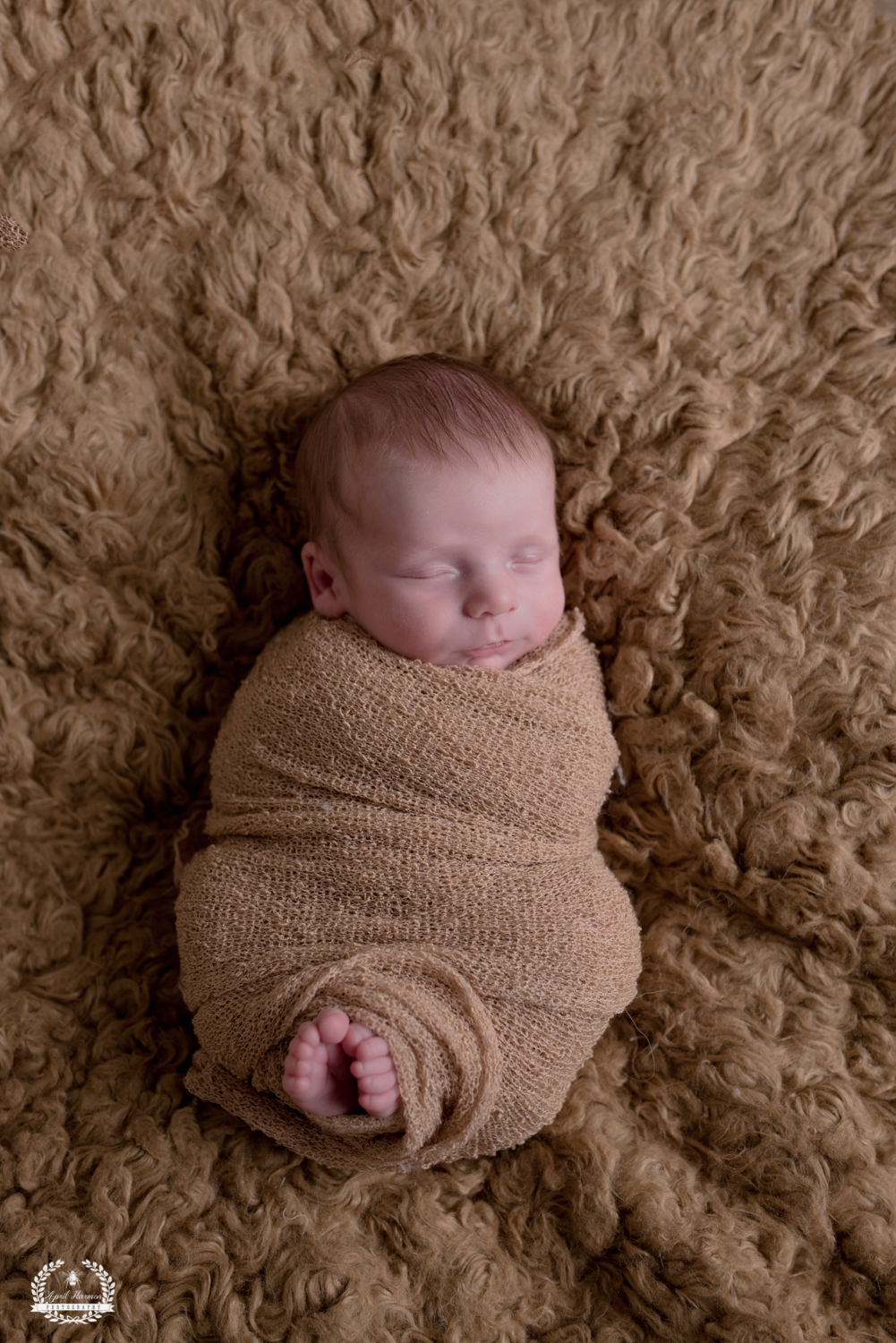 southwest-kansas-newborn-photography15.jpg