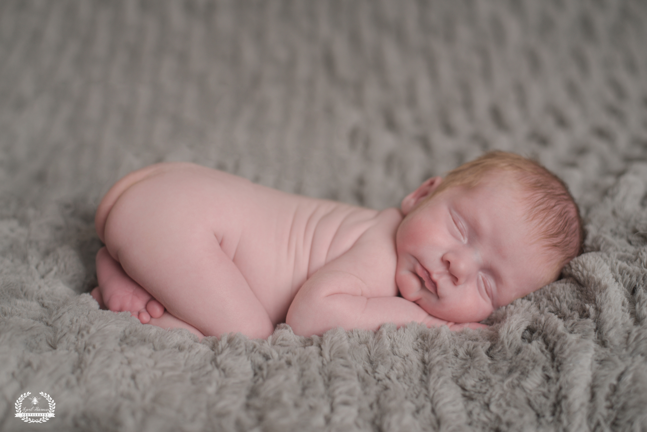 southwest-kansas-newborn-photography30.jpg