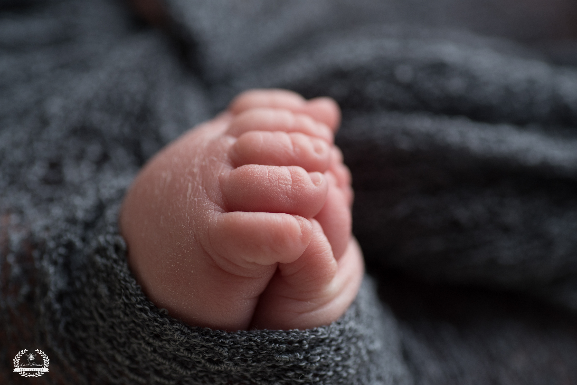 southwest-kansas-newborn-photography8.jpg