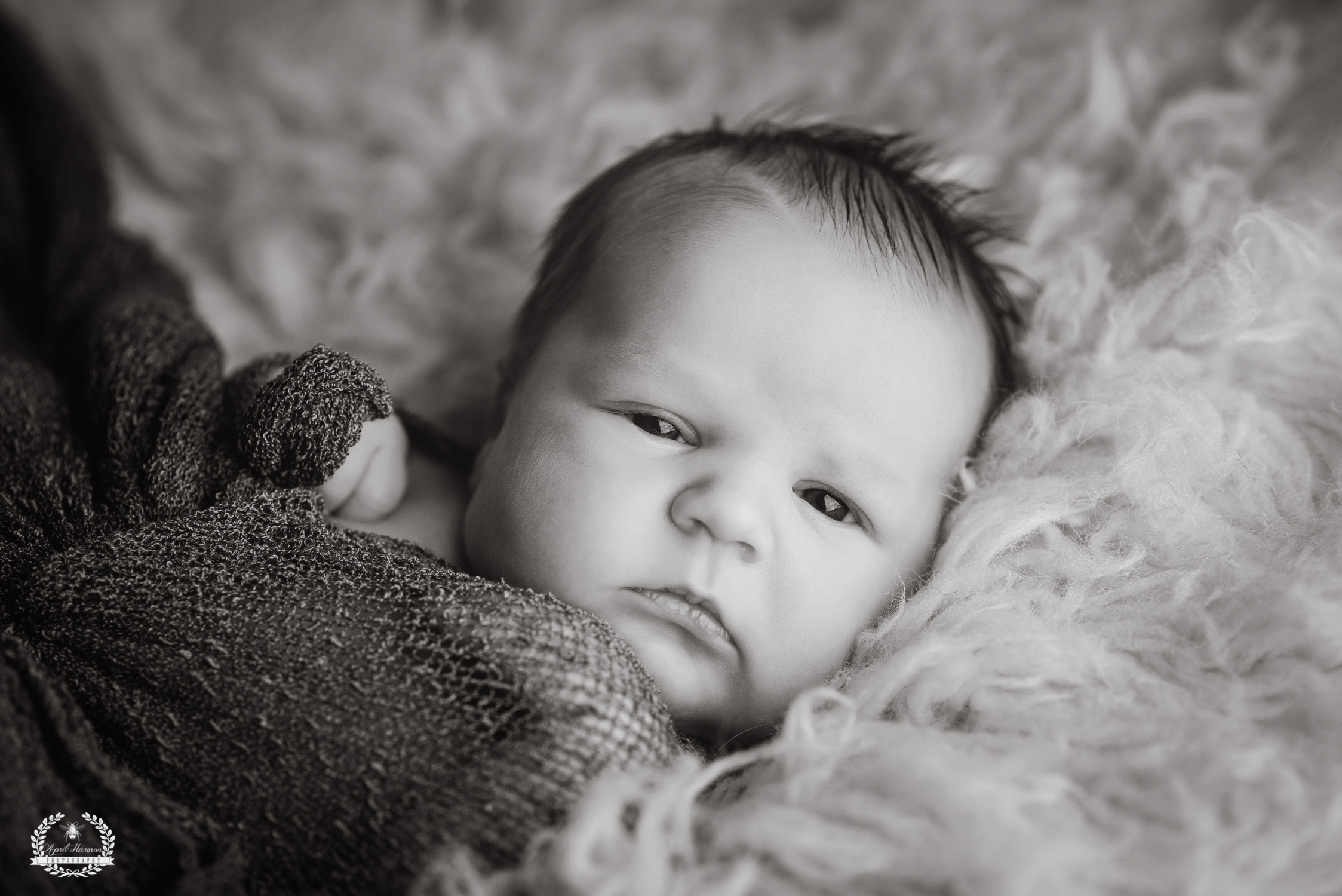 southwest-kansas-newborn-photography10.jpg