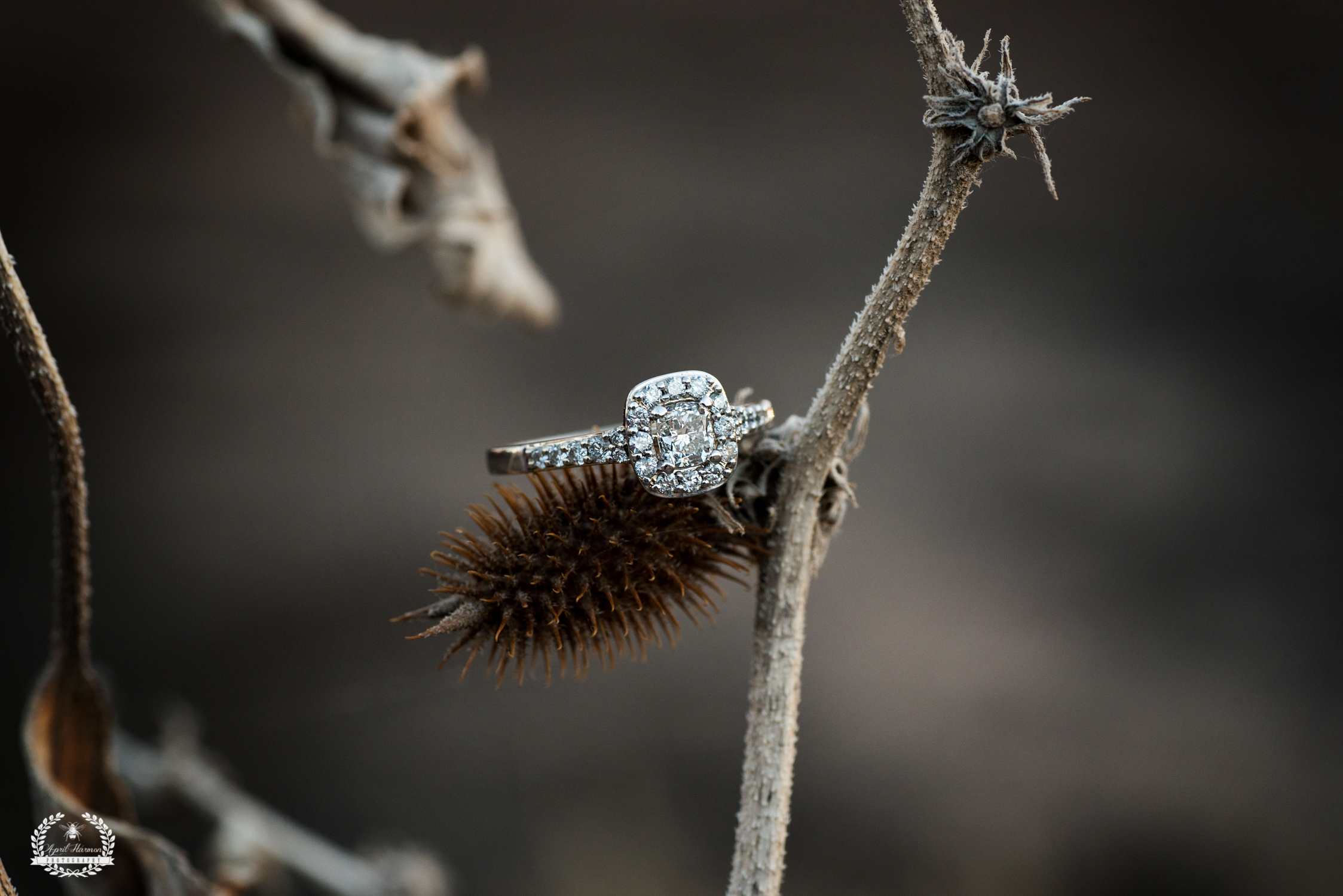 southwest-kansas-engagement-photography18.jpg