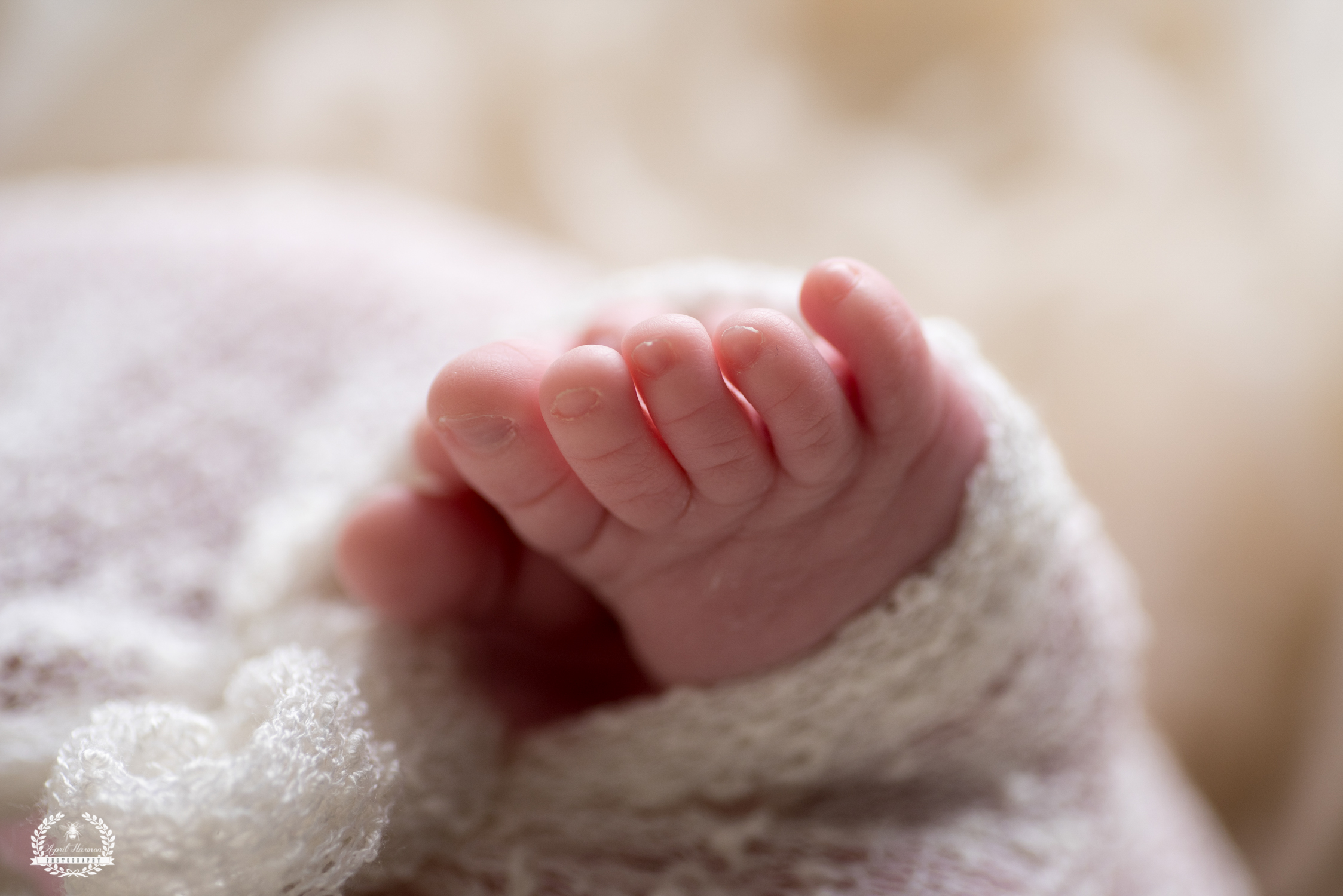 southwest-kansas-newborn-photography10.jpg