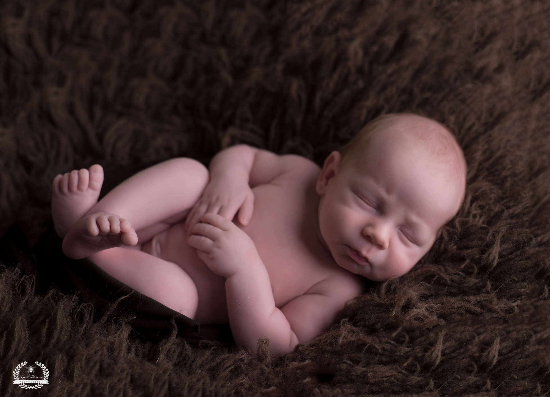 southwest-kansas-newborn-photography18.jpg