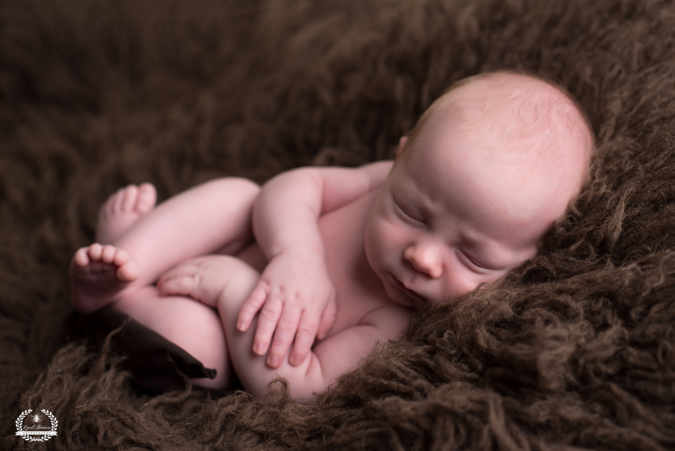 southwest-kansas-newborn-photography24.jpg