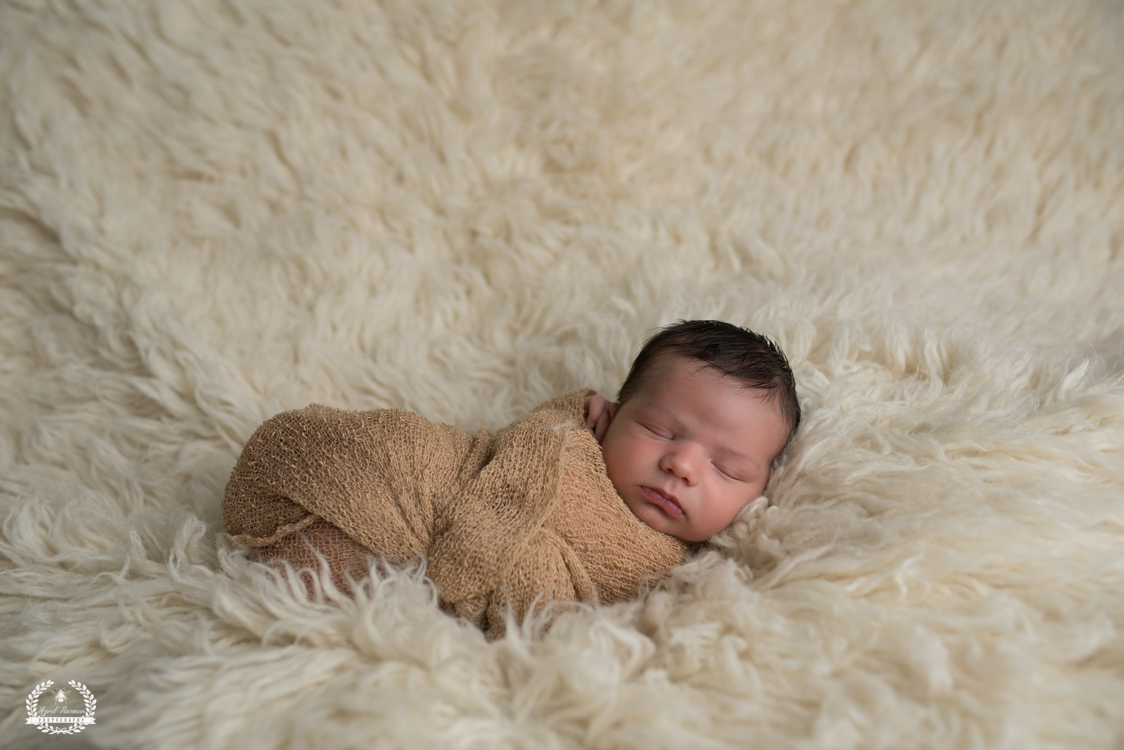 southwest-kansas-newborn-photography4.jpg