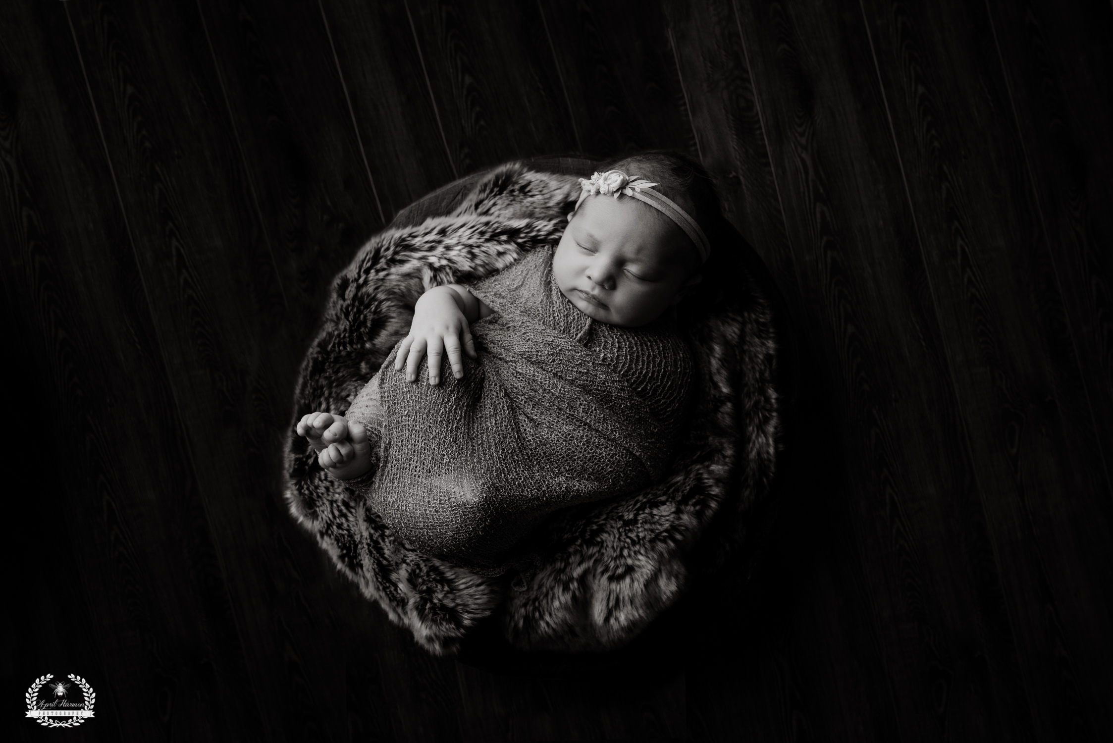 southwest-kansas-newborn-photography28.jpg