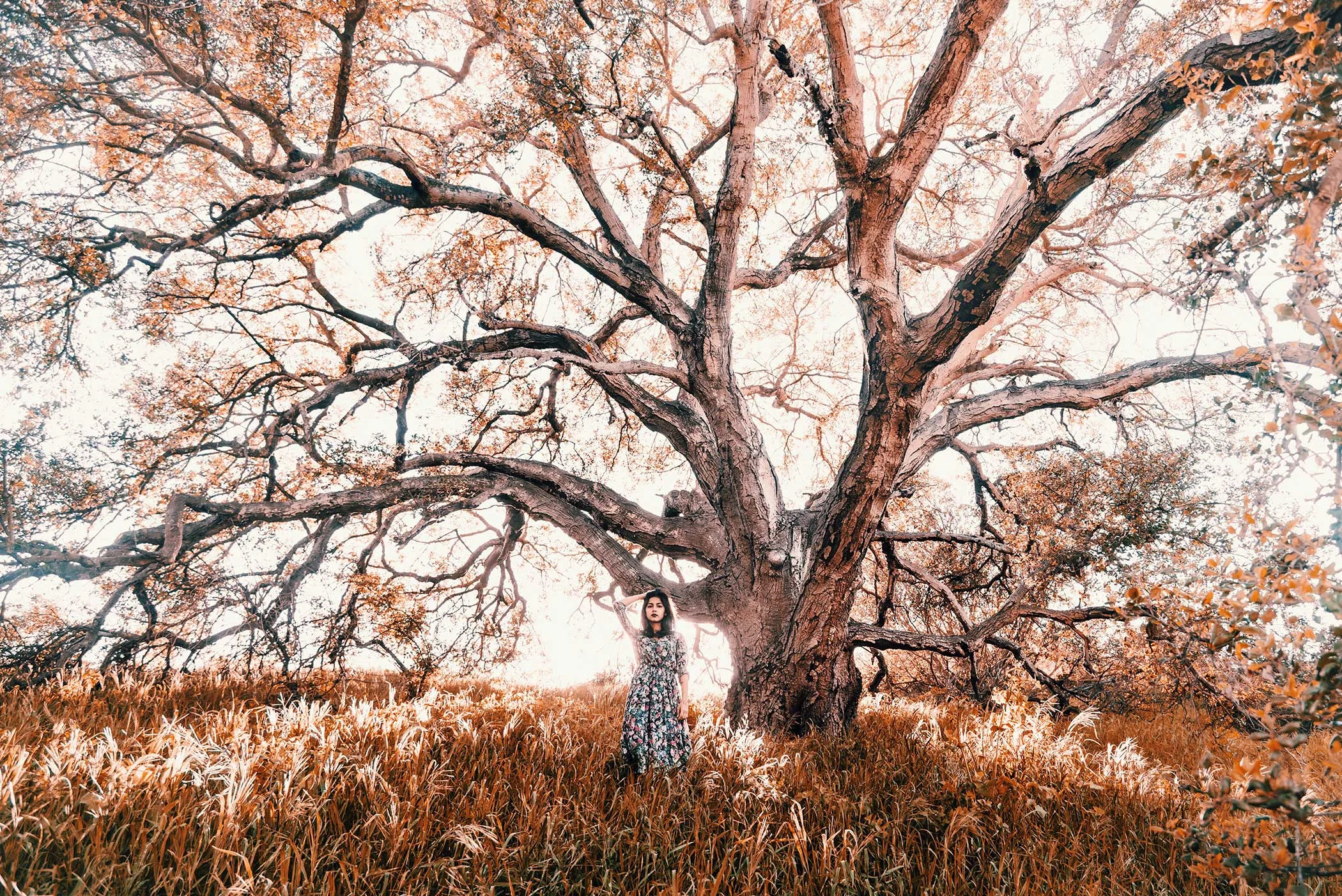 AE15FCEF-8757-4C22-9EED-7F1B8CDADF08.jpg