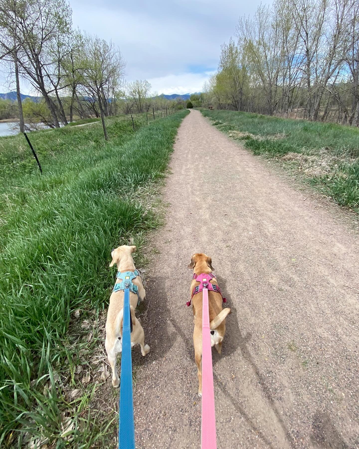 monday at #sawhillponds #boulder ⛰️