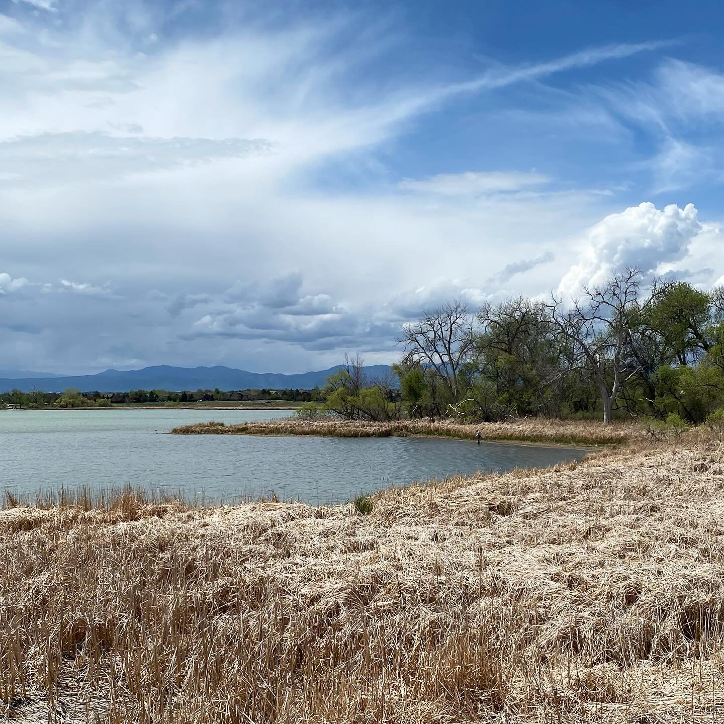 monday at mckay lake #broomfield #colorado ⛰️