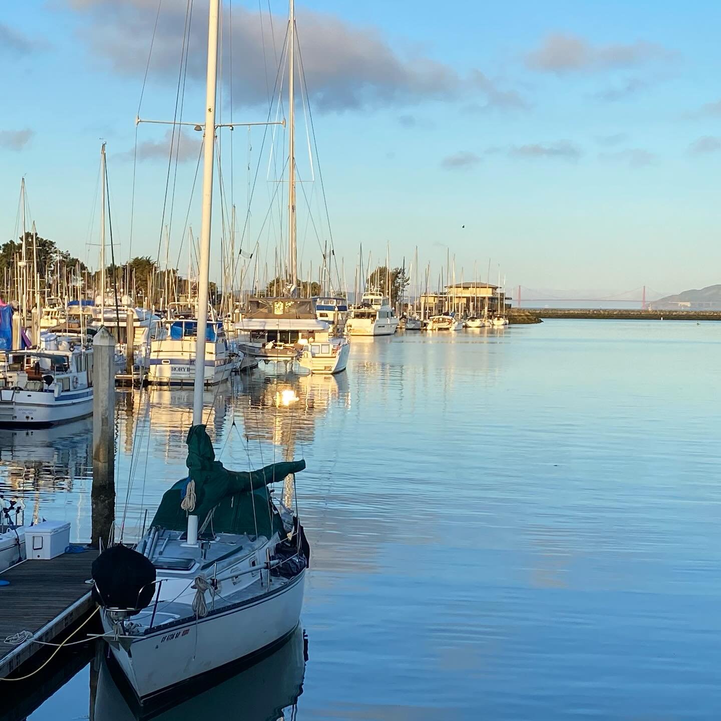 morning run at the marina #berkeley #california 🏃&zwj;♀️😎🛥️